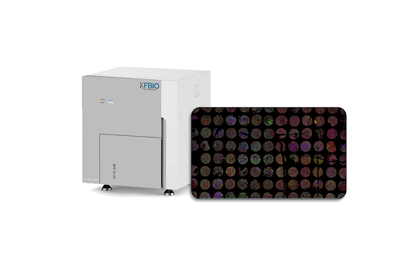 kf-fl-020